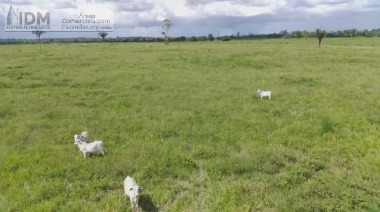 Imagem Chácara à Venda, 21.890.000 m² em Centro - Baião