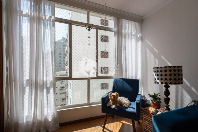 Imagem Apartamento com 3 Quartos à Venda, 105 m² em Jardim Paulista - São Paulo Imagem Apartamento com 3 Quartos à Venda, 105 m² em Jardim Paulista - São Paulo