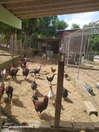 Imagem Chácara à Venda, em Bairro Da Vargem Do Salto - Ibiúna Imagem Chácara à Venda, em Bairro Da Vargem Do Salto - Ibiúna