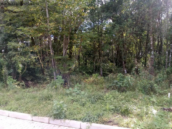 Imagem Terreno à Venda, 370 m² em Linha Imperial - Nova Petrópolis Imagem Terreno à Venda, 370 m² em Linha Imperial - Nova Petrópolis