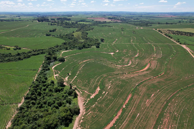 Imagem Fazenda à Venda, 118 m² em Zona Rural - Itápolis Imagem Fazenda à Venda, 118 m² em Zona Rural - Itápolis