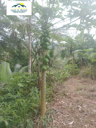 Imagem Chácara com 2 Quartos à Venda, 78 m² em Parque 3 Meninos - Itariri Imagem Chácara com 2 Quartos à Venda, 78 m² em Parque 3 Meninos - Itariri