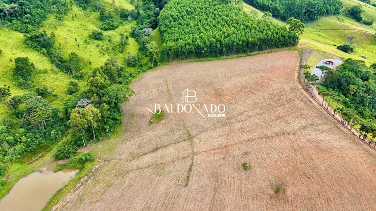 Imagem Terreno à Venda, 493.300 m² em Centro - Toledo Imagem Terreno à Venda, 493.300 m² em Centro - Toledo
