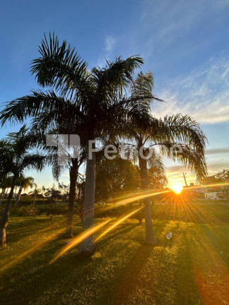 Imagem Apartamento com 1 Quarto à Venda, 58 m² em Praia Grande - Governador Celso Ramos Imagem Apartamento com 1 Quarto à Venda, 58 m² em Praia Grande - Governador Celso Ramos