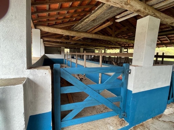 Imagem Imóvel à Venda, em Cunha Imagem Imóvel à Venda, em Cunha