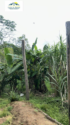 Imagem Chácara com 2 Quartos à Venda, 50 m² em Raposo Tavares - Itariri Imagem Chácara com 2 Quartos à Venda, 50 m² em Raposo Tavares - Itariri