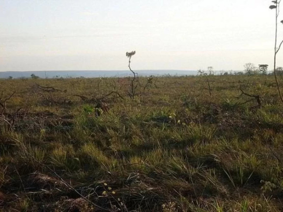 Imagem Fazenda à Venda, 1.560 m² em Centro - Nova Brasilândia Imagem Fazenda à Venda, 1.560 m² em Centro - Nova Brasilândia