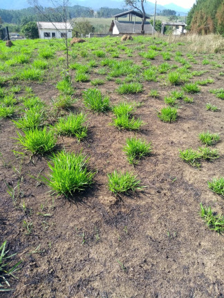 Imagem Chácara à Venda, 1.500 m² em Piracangaguá - Taubaté Imagem Chácara à Venda, 1.500 m² em Piracangaguá - Taubaté