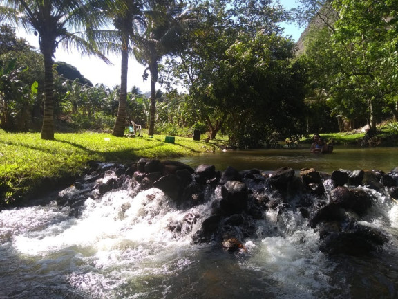 Imóvel com 4 Quartos à Venda, 2.000 m²