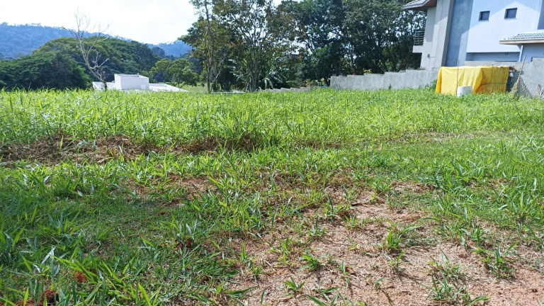 Imagem Chácara à Venda, 1.000 m² em Canaã I - Jambeiro Imagem Chácara à Venda, 1.000 m² em Canaã I - Jambeiro