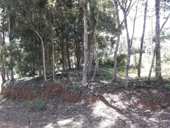 Imagem Terreno à Venda, 1.020 m² em Campininha - Atibaia Imagem Terreno à Venda, 1.020 m² em Campininha - Atibaia