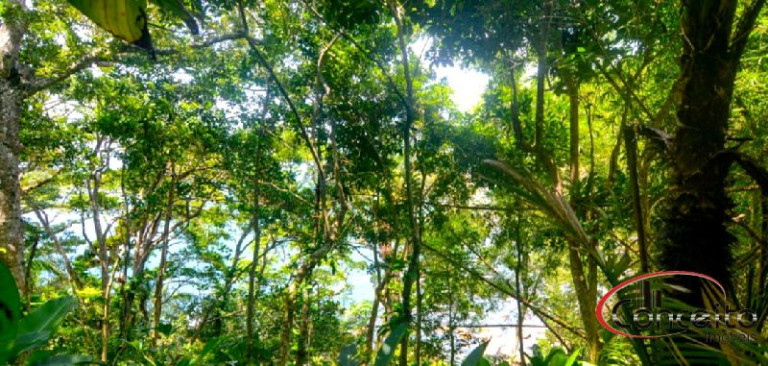 Imagem Terreno à Venda, 400 m² em Ponta Grossa - Ubatuba Imagem Terreno à Venda, 400 m² em Ponta Grossa - Ubatuba