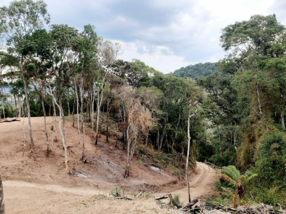 Imagem Imóvel à Venda, 28.900 m² em Zona Rural - Bom Retiro Imagem Imóvel à Venda, 28.900 m² em Zona Rural - Bom Retiro
