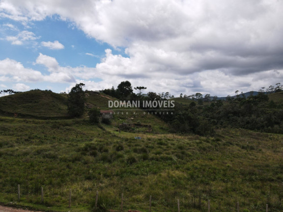 Imagem Terreno à Venda, 7.500 m² em Região Do Parque Da Ferradura - Campos Do Jordão Imagem Terreno à Venda, 7.500 m² em Região Do Parque Da Ferradura - Campos Do Jordão
