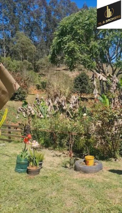 Imagem Imóvel com 4 Quartos à Venda, 46.000 m² em Freguesia Dos Laras - Campo Magro Imagem Imóvel com 4 Quartos à Venda, 46.000 m² em Freguesia Dos Laras - Campo Magro