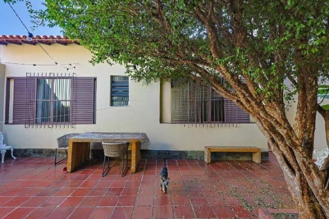 Imagem Casa com 4 Quartos à Venda, 325 m² em Santo Antônio - Belo Horizonte Imagem Casa com 4 Quartos à Venda, 325 m² em Santo Antônio - Belo Horizonte