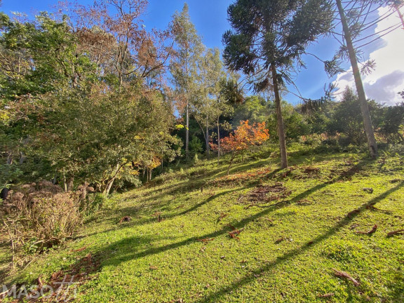 Imagem Chácara com 4 Quartos à Venda, 120.000 m² em Centro - Santa Maria Do Herval Imagem Chácara com 4 Quartos à Venda, 120.000 m² em Centro - Santa Maria Do Herval