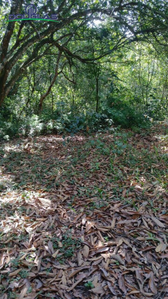 Imagem Chácara à Venda, em Viamão Imagem Chácara à Venda, em Viamão
