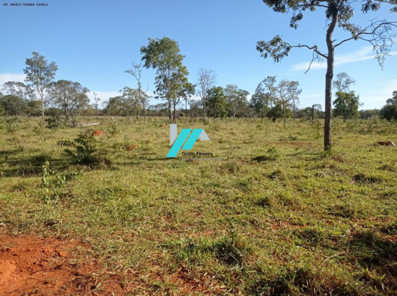Imagem Fazenda à Venda, 25 m² em Zona Rural - Curvelo Imagem Fazenda à Venda, 25 m² em Zona Rural - Curvelo