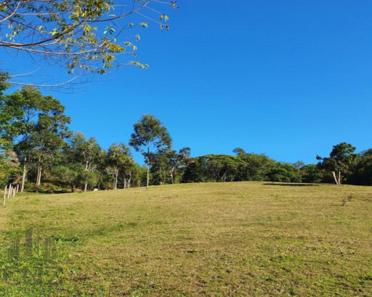 Imagem Imóvel com 1 Quarto à Venda, 96.000 m² em Dom Joaquim - Brusque Imagem Imóvel com 1 Quarto à Venda, 96.000 m² em Dom Joaquim - Brusque