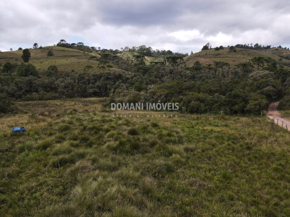 Imagem Terreno à Venda, 7.500 m² em Região Do Parque Da Ferradura - Campos Do Jordão Imagem Terreno à Venda, 7.500 m² em Região Do Parque Da Ferradura - Campos Do Jordão