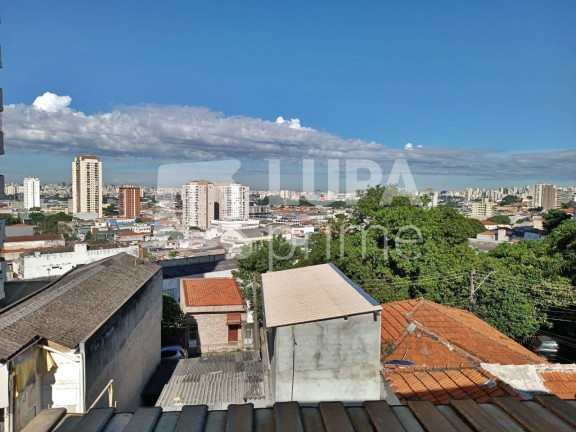 Imagem Apartamento com 3 Quartos à Venda, 117 m² em Vila Maria Alta - São Paulo Imagem Apartamento com 3 Quartos à Venda, 117 m² em Vila Maria Alta - São Paulo