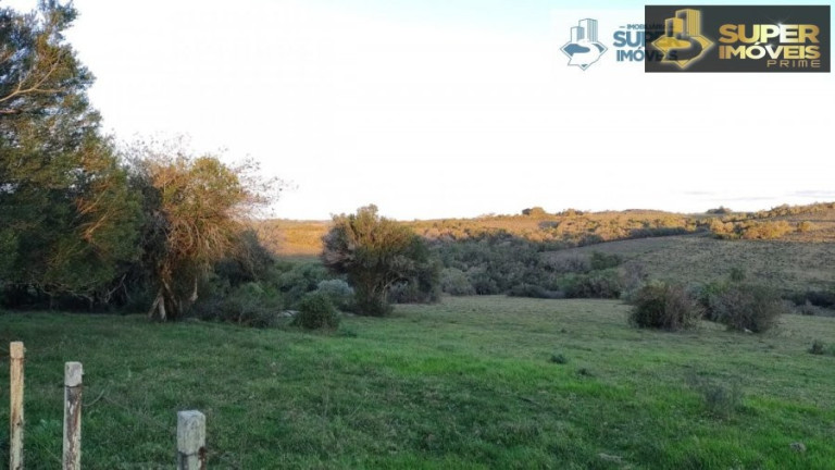 Imagem Imóvel com 2 Quartos à Venda, 260.000 m² em Centro - Piratini