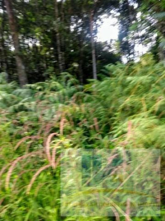 Imagem Terreno à Venda, 20.000 m² em Contenda - São José Dos Pinhais