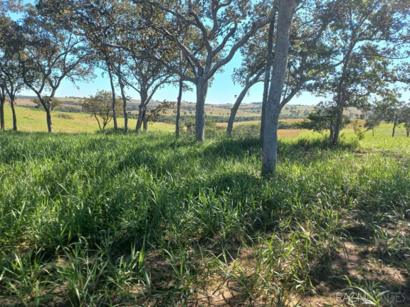 Imagem Fazenda à Venda, 10.000.000 m² em Zona Rural - Camapuã Imagem Fazenda à Venda, 10.000.000 m² em Zona Rural - Camapuã