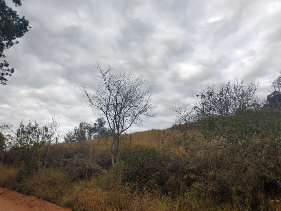 Imagem Chácara à Venda, 20.000 m² em Rio Pardo - Caldas Imagem Chácara à Venda, 20.000 m² em Rio Pardo - Caldas