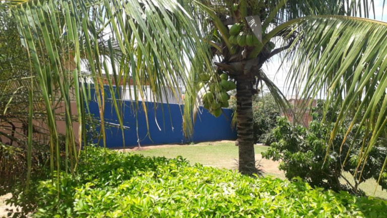 Imagem Imóvel com 2 Quartos à Venda, 700 m² em Quinta Da Bela Olinda - Bauru Imagem Imóvel com 2 Quartos à Venda, 700 m² em Quinta Da Bela Olinda - Bauru