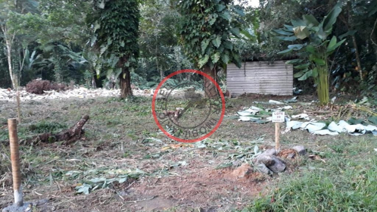 Imagem Terreno à Venda, 250 m² em Boiçucanga - São Sebastião Imagem Terreno à Venda, 250 m² em Boiçucanga - São Sebastião