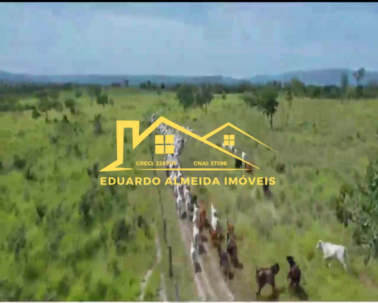Imagem Imóvel à Venda,  em Barreira Da Onça - Arraias