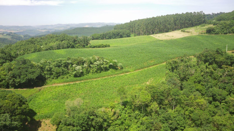 Imagem Terreno à Venda, 90.000 m² em Rural - Concórdia Imagem Terreno à Venda, 90.000 m² em Rural - Concórdia
