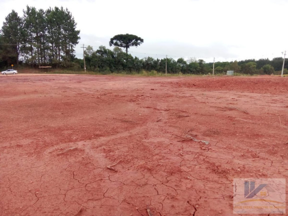 Imagem Terreno à Venda, 4.411 m² em Campo Largo Da Roseira - São José Dos Pinhais
