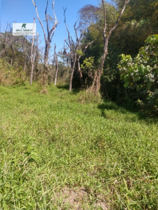 Imagem Terreno à Venda, 2.500 m² em Caetê - São Roque Imagem Terreno à Venda, 2.500 m² em Caetê - São Roque
