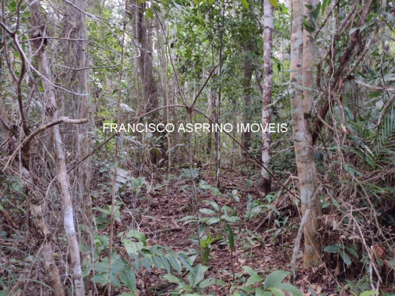 Imagem Imóvel à Venda, 2 m² em Serra Grande - Uruçuca Imagem Imóvel à Venda, 2 m² em Serra Grande - Uruçuca