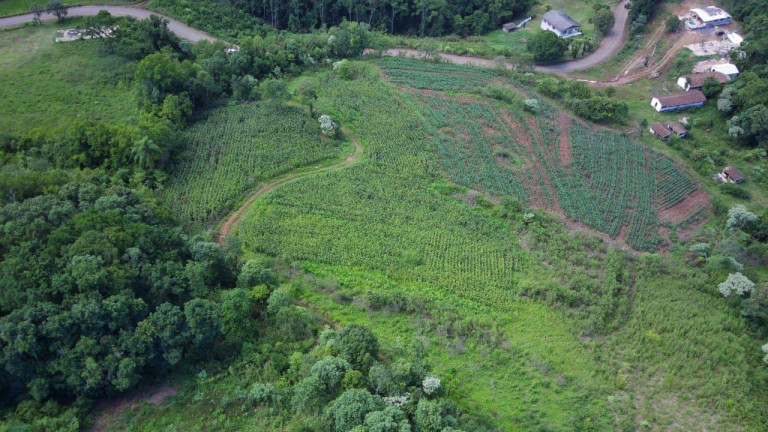 Imagem Terreno à Venda, 12.455 m² em Primavera - Concórdia Imagem Terreno à Venda, 12.455 m² em Primavera - Concórdia