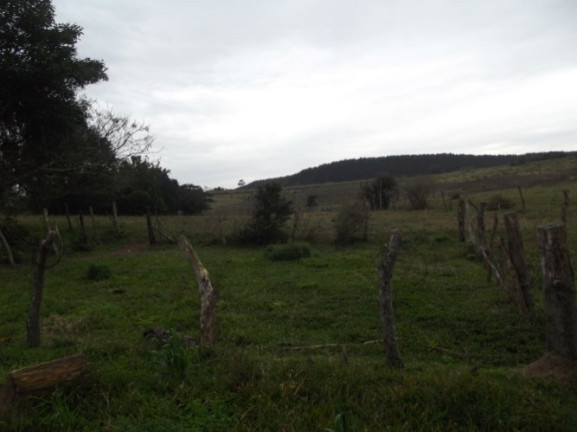Imagem Chácara com 1 Quarto à Venda, 108.000 m² em Itapuã - Viamão Imagem Chácara com 1 Quarto à Venda, 108.000 m² em Itapuã - Viamão