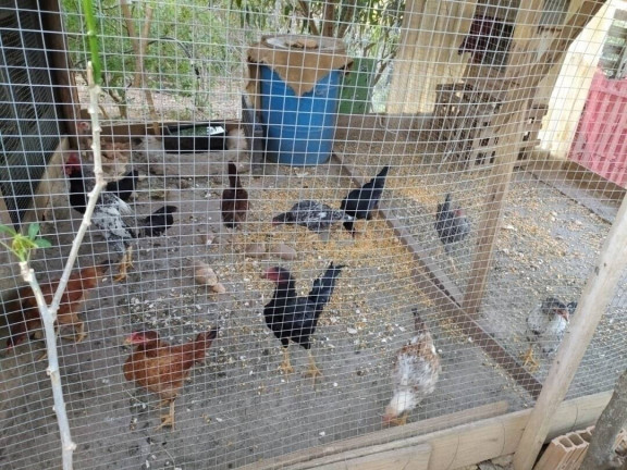 Imagem Chácara com 1 Quarto à Venda, 10 m² em Piraporão - Piedade Imagem Chácara com 1 Quarto à Venda, 10 m² em Piraporão - Piedade