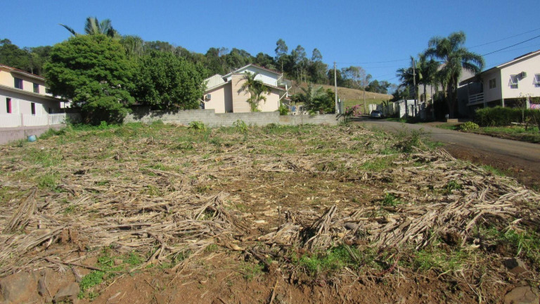 Imagem Terreno à Venda, 340 m² em Colinas - Concórdia Imagem Terreno à Venda, 340 m² em Colinas - Concórdia