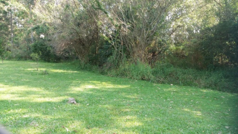 Imagem Imóvel com 4 Quartos à Venda,  em Aberta Dos Morros - Porto Alegre