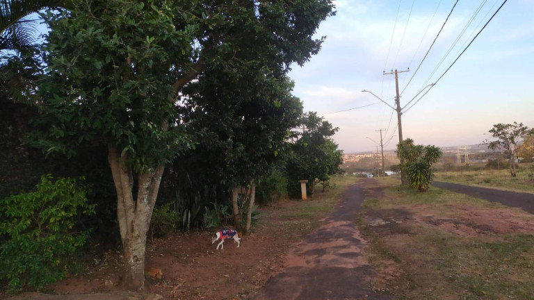 Imagem Casa com 5 Quartos à Venda, 699 m² em Quinta Da Bela Olinda - Bauru Imagem Casa com 5 Quartos à Venda, 699 m² em Quinta Da Bela Olinda - Bauru
