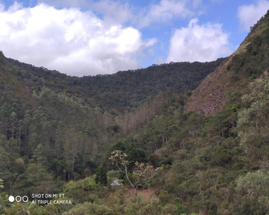 Imagem Imóvel à Venda, 2.500.000 m² em Fazenda Bela Vista - Nova Friburgo