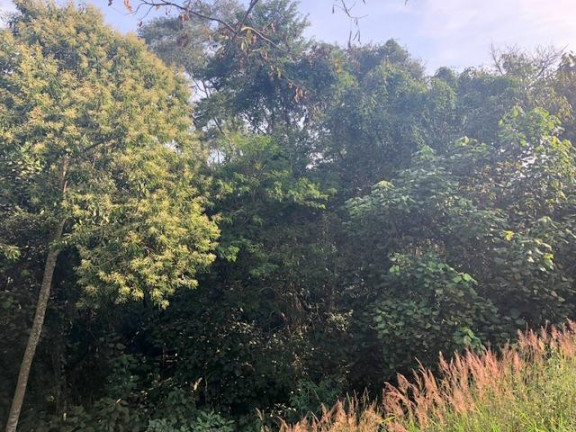 Imagem Terreno à Venda, 674 m² em Chácara Moinho Velho - Carapicuíba Imagem Terreno à Venda, 674 m² em Chácara Moinho Velho - Carapicuíba
