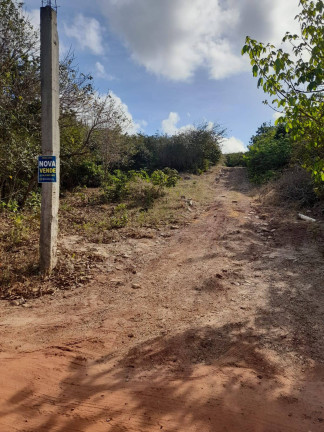 Imagem Terreno à Venda, 6.000 m² em Tibau Do Sul Imagem Terreno à Venda, 6.000 m² em Tibau Do Sul