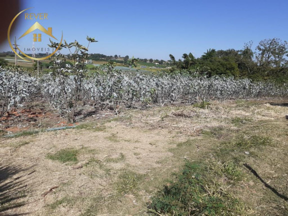 Imagem Imóvel com 9 Quartos à Venda, 69.700 m² em Reforma Agrária - Valinhos Imagem Imóvel com 9 Quartos à Venda, 69.700 m² em Reforma Agrária - Valinhos