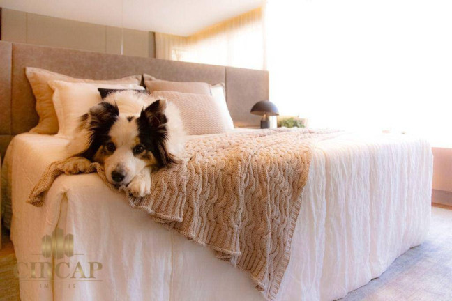 Imagem Apartamento com 4 Quartos à Venda, 181 m² em Alto Da Lapa - São Paulo