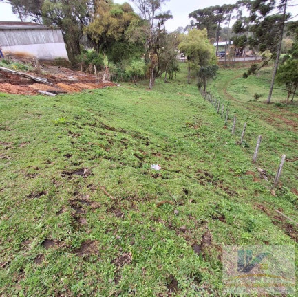 Imagem Terreno à Venda, 1.600 m² em Colonia Murici - São José Dos Pinhais Imagem Terreno à Venda, 1.600 m² em Colonia Murici - São José Dos Pinhais