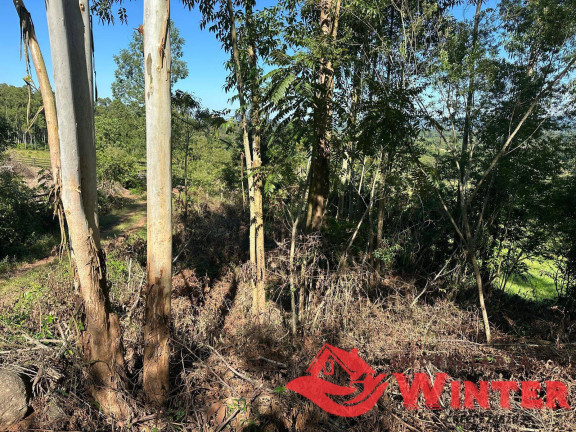 Imagem Chácara à Venda, em Linha Neis - São Vendelino Imagem Chácara à Venda, em Linha Neis - São Vendelino